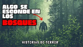 LOS BOSQUES AMERICANOS ESCONDEN TERRIBLES SECRETOS / 6 Historias de Terror