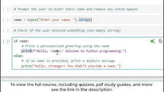 Beginner Python Coding User Input Variables Conditional Statements Intro to Python
