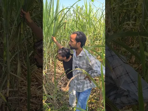 Chabi Kha Hai 😂💀 #funny #shorts #comedy #shortsfeed #ytshorts #fyp