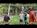 Download Lagu YANG DI TUNGGU AKHIR NYA BISA LIAT ULAR PYTHON UMUR 27 TAHUN PELIHARAAN WARGA