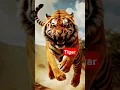 Tigar #phonk