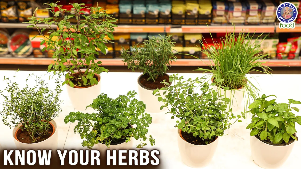 Herb Plants   How to Pick Fresh Herb Plants   Rajshri Food X Freshpik   Chef Ruchi Bharani