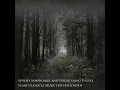 Suite from The Ballet "Raymonda", Op. 57 : Fantastic Valtz