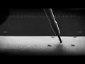 SkinCeuticals Epidermal Repair 40ml - Video 2 of 1