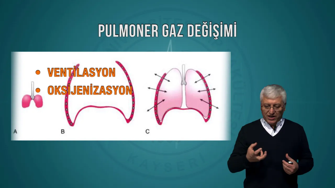Mekanik Ventilasyon 1 bölüm