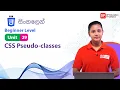 Unit 29 CSS Pseudo-classes CSS Beginner Level