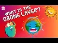 What Is The Ozone Layer Ozone Layer Depletion Dr Binocs Show Kids Learning Peekaboo Kidz