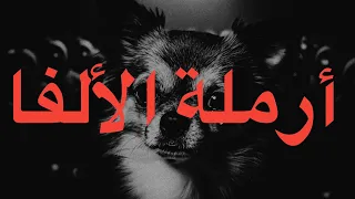                                   كلاش   أرملة الألفا  كلمات  دندنها