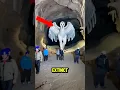 Download Lagu TOP 5 SCARIEST EXTINCT ANIMALS EVER CAUGHT ON CAMERA 🤔😨