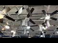 Ceiling fans at Lowe s 2025