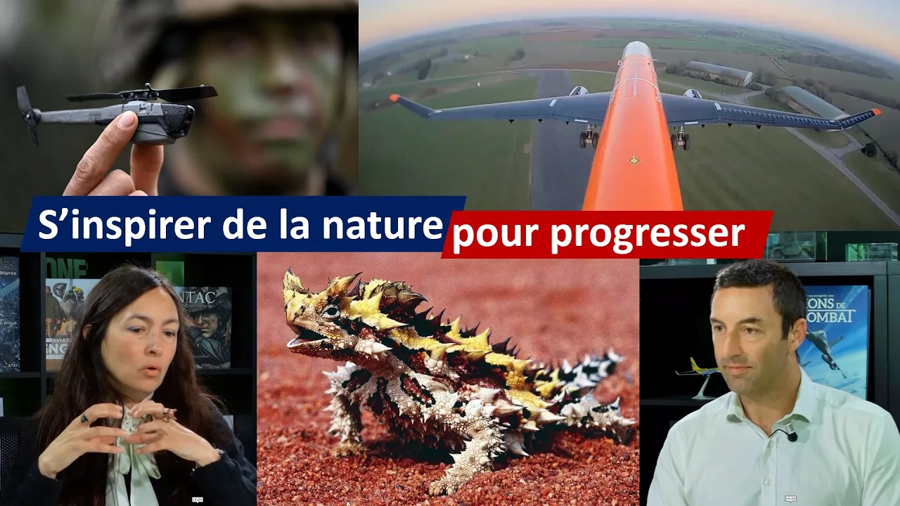 Biomimétisme: s'inspirer de la nature pour progresser