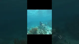 Steffi the hunter #boatlife #survival #spearfishing