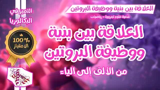 واخيرااا بكالوريا الوحدة 2 العلاقة بين بنية ووظيفة البروتين من الالف الى الياء ع ت رياضيات 
