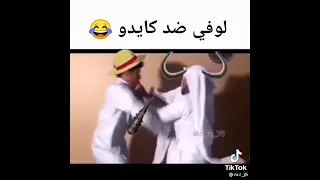 قتال لوفي ضد كايدو بختصار 