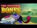 The Leviathan Bones - Breath of the Wild Wonders of Hyrule