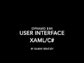 Dynamo User Interface - How to build a UI using