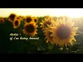 dodie - if i'm being honest (lyrics)