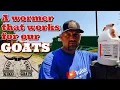 Goat Wormer Prohibit Wormer Worms in Goats Goat