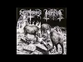 Download Lagu Horna - Pirunpitäjä