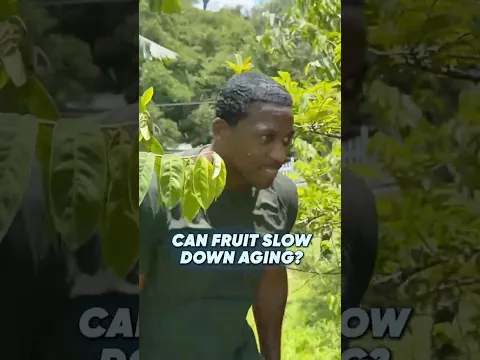 Can Fruit Slow Down Aging?