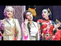 Download Lagu SUSU PUTIH - RISMA AW AW DEWI AZKIYA LIVE MISS CUNENK MANAGEMENT ANGKRINGAN TEH ITA