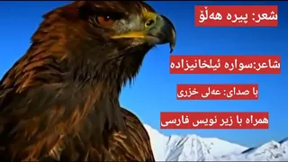 شعر کوردی پیرە هەڵۆ از سوارە ئیلخانیزادە با زیر نویس فارسی با صدای عەلی خزری کوردی سورانی 