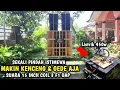 Download Lagu Horeg Doesn't Need to Be Big!! Economical, Just a 15-Inch Coil, 3 Electric 450, Switch Line F1 St...