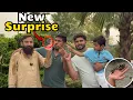 Download Lagu Sugar Glider kai Babies Agye 🐿️🦨🥰| lions Cubs Ko Garden Mai Nikal Liya 🦁😱
