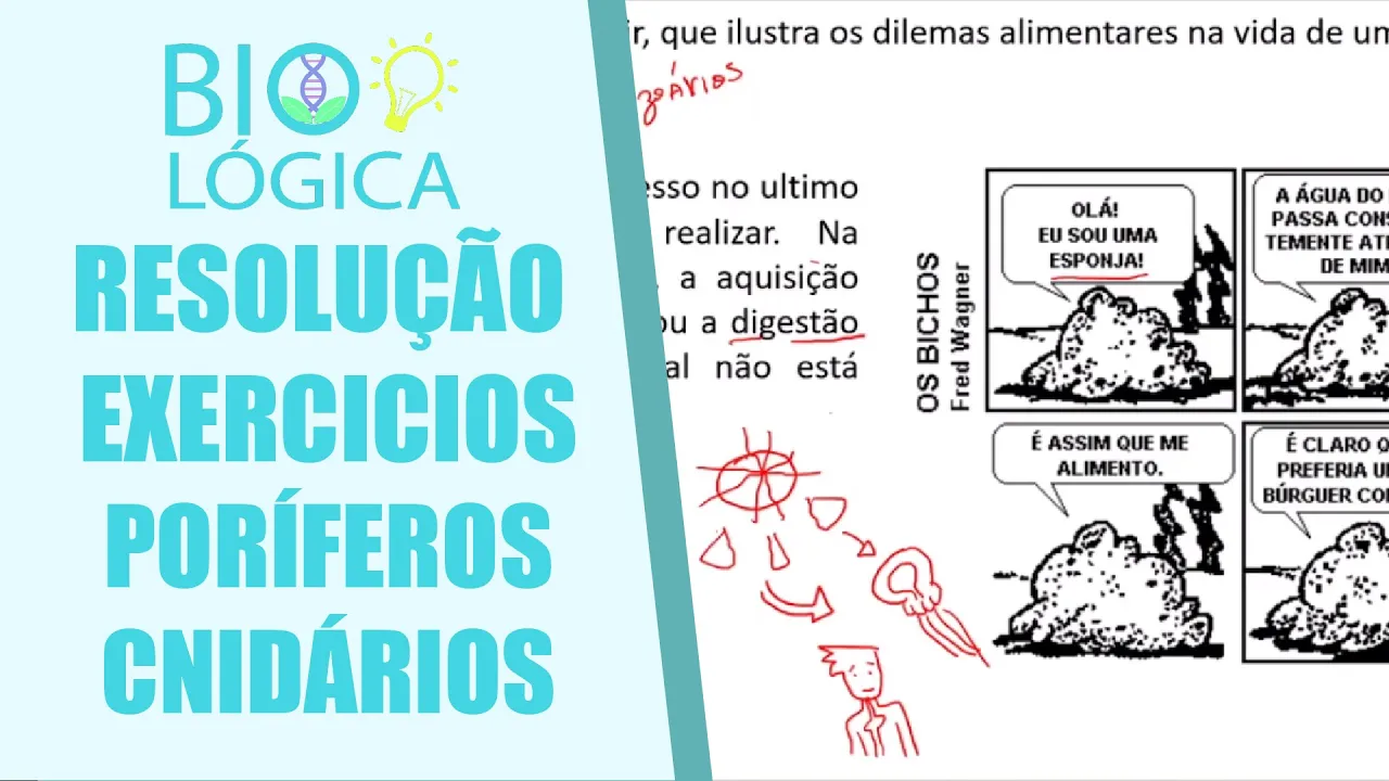 BIO LOGICA! RESOLUÇÃO DE EXERCÍCIOS - PORÍFEROS E CNIDÁRIOS