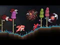 Terraria Minion i-frames are important