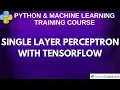 Single Layer Perceptron with TensorFlow Step-by-Step Tutorial