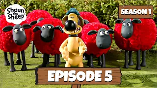"The Bull" | Season 1 Episode 5