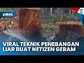 Lagu VIRAL VIDEO TEKNIK PENEBANGAN LIAR Pakai Air Bertekanan Tinggi, Netizen Geram: Bikin Banjir Parah