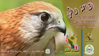 دحة وطن بدون إيقاع مونتاج أحمد المدخلي دندنها
