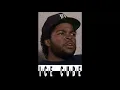 ICE CUBE - DOWN FOR WHATEVER
