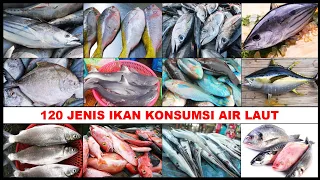 120 jenis ikan laut yang bisa dimakan macam ikan konsumsi air laut