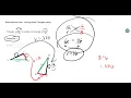 Khan Academy - Solving Similar Triangles Basic and Advanced Examples
