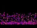 Gravity Simulation in Canvas Using JS