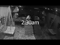 Ring night cam What guinea pigs do when lights out
