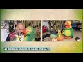 Lagu louro José e seus segredos