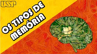 Os TIPOS de MEMÓRIA! #Neurociência