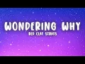 The Red Clay Strays - Wondering Why (Lyrics)