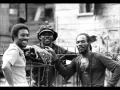 Toots & The Maytals  - Premature Dub