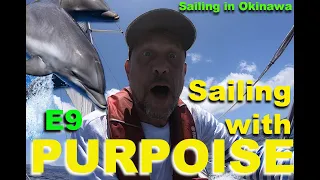 Sailing in Okinawa #9 — Sailing with a purpoise
