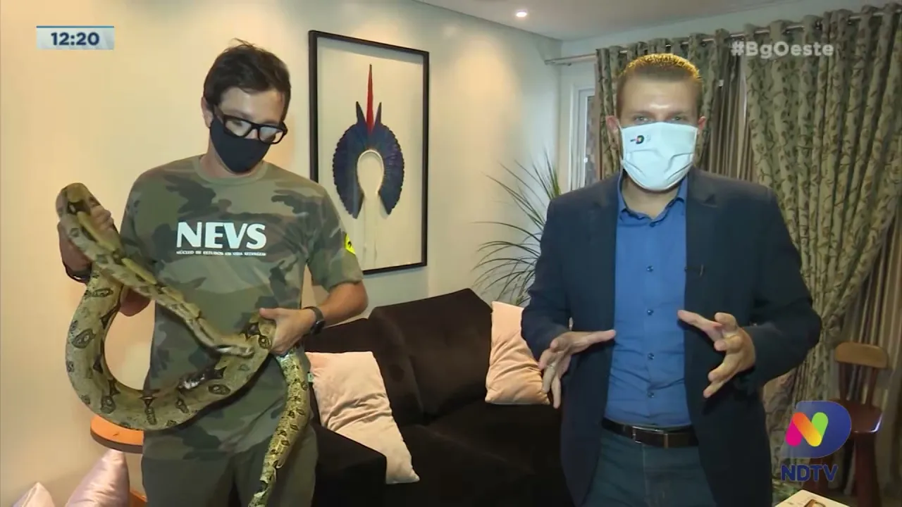 São Miguel do Oeste: biólogo têm três cobras de estimação