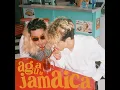 Agua de Jamaica