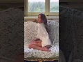 Download Lagu THE FRANKIES BIKINIS X SYDNEY SWEENEY COLLAB 👼🏼 #revolve #shorts #sydneysweeney #mermaidcore #lace