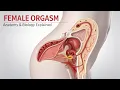 Lagu Female Orgasm Explained: Anatomy, Biology, and How It Works