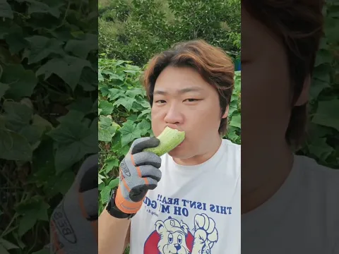 ☆☆☆ 산지직송 현지직송 신선하게 수확해서 바로냠냠