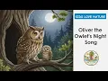 Baby Owl Life Cycle Oliver the Owlet s Silent Flight 360 Head Owl Facts for Kids